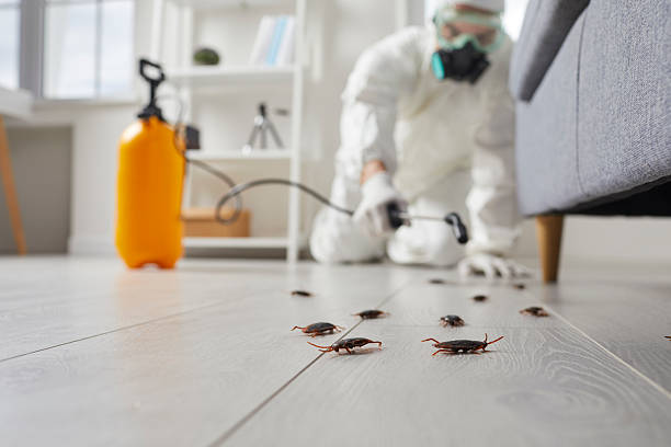 Commercial Kitchen Cockroach Control in Bishopville